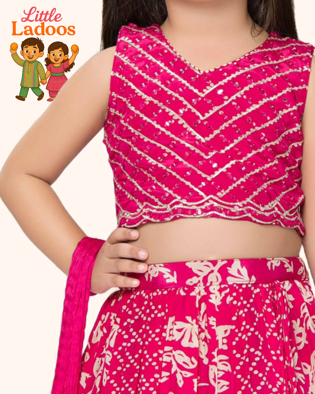 Rani Pink Lehenga